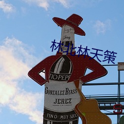 林北林天(tiān)策