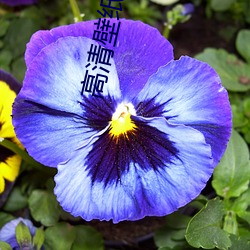 新利体育·luck18(中国)官方网站