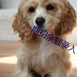 AG真人平台(中国)官方网站