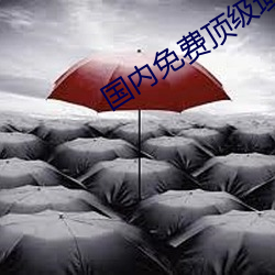 国内免费顶级域名
