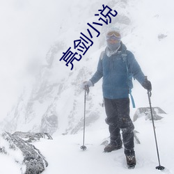 亮劍小說