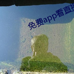 免費app看直播