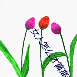 女人怎么才算高湖