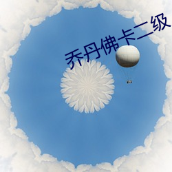 乔丹佛卡二级
