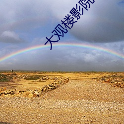 大观楼影院 ��电唱机��