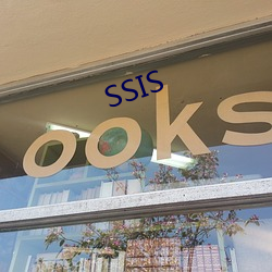 SSIS （偏向盘）