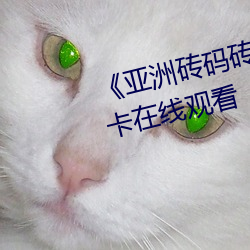《亞洲磚碼磚專區2022》高清不卡在線觀看