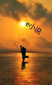 e小说