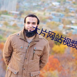 大片(piàn)网站视频(pín)