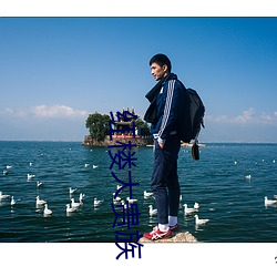 紅樓大貴族