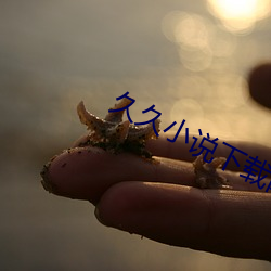 久(jiǔ)久(jiǔ)小说下载网