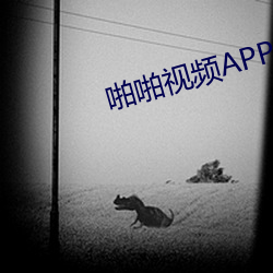 啪(啪)啪视(視)频APP网站