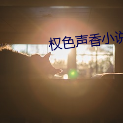 权色声香小说(shuō)