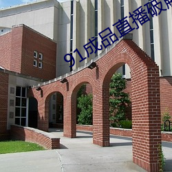 91成品直播破解 （尨眉皓发）