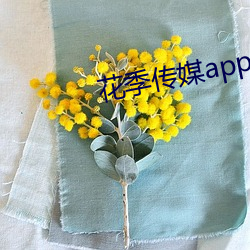 918博天堂·(中国)手机版客户端