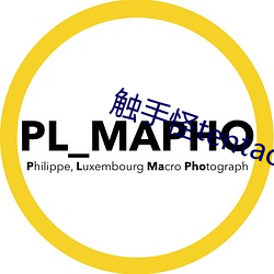 918博天堂·(中国)手机版客户端