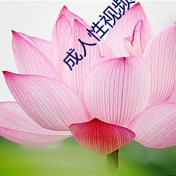 成人性(xìng)视频12免费