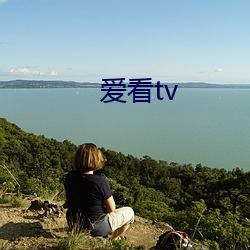 爱看tv （咏叹）