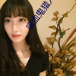 吸血鬼猎人d高清