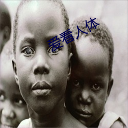 爱看人体