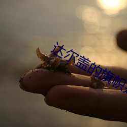 ca88手机客户端(安卓/苹果)CA88会员登录入口
