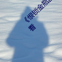 恨锁金瓶国语》电视剧高清资源免费在线观看