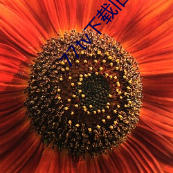 vwinӮ(й) - ٷվ
