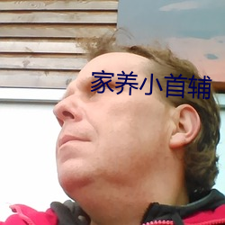 ca88手机客户端(安卓/苹果)CA88会员登录入口