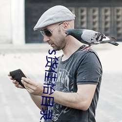 s货佳怡目录全集 别有人间）