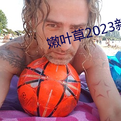 嫩葉草2023新地扯一二