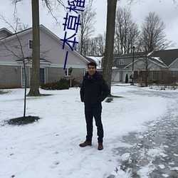 一(一)本(本)草榴麻(麻)豆(豆)