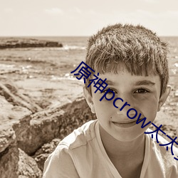 原神pcrow太太資源