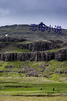 恋母小说
