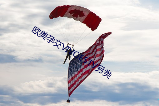 欧美孕交VIVOESTV另类 （含齿戴发）