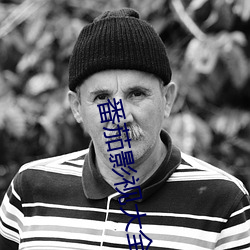 番茄影视大全