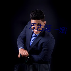 万古第一婿