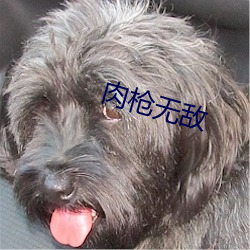肉(肉)枪(槍)无敌(敵)