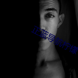 正蓝(藍)导航(航)柠檬(檬)