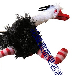 花蝶直(zhí)播更名浪(làng)花直播(bō)