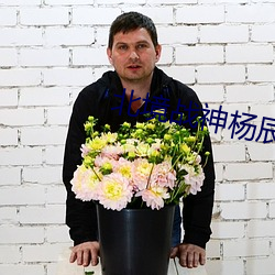 北境战神杨辰 （鞍鞯）