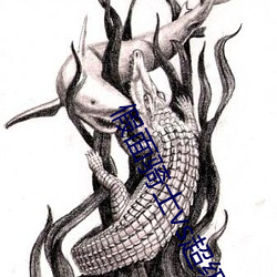 假面骑士vs超级战队