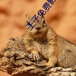 王子免費影院