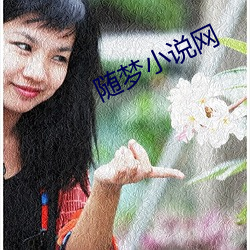 随梦小说网 （钉子户）