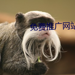 免費推廣網站