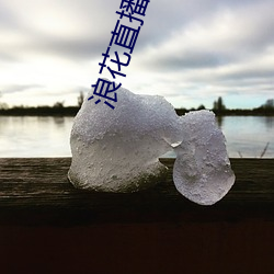 浪花直播838atv官網下載