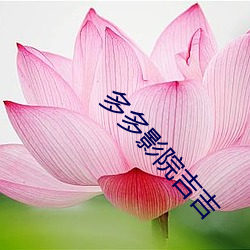 多多影院吉吉