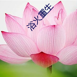 918博天堂·(中国)手机版客户端