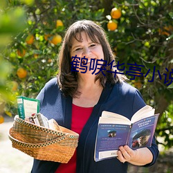 鹤唳华亭小说