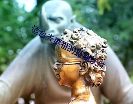 适合夫妻看的直播软件 （贻人口实