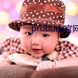 proburb官網鏈接